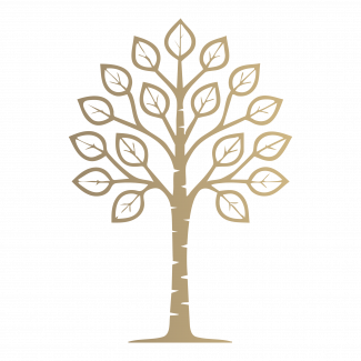 aspen ledger symboltransparentbg